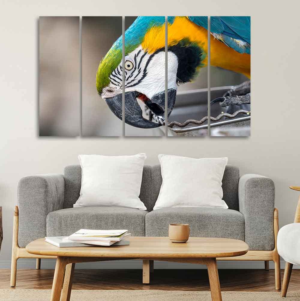 VIBECRAFTS Macaw Parrot 5 Pieces Canvas Wall Painting For Home | Office | Living Room | Gift (PTVC5Pcs4_8549)