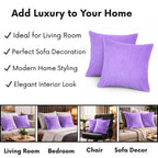 RD TREND® Cushion Cover Set of 2, Decorative Sofa Living Room Home Square Cushion Covers 16 Inch x 16 Inch, Aesthetic Corduroy Striped Double Sided (Lavender)