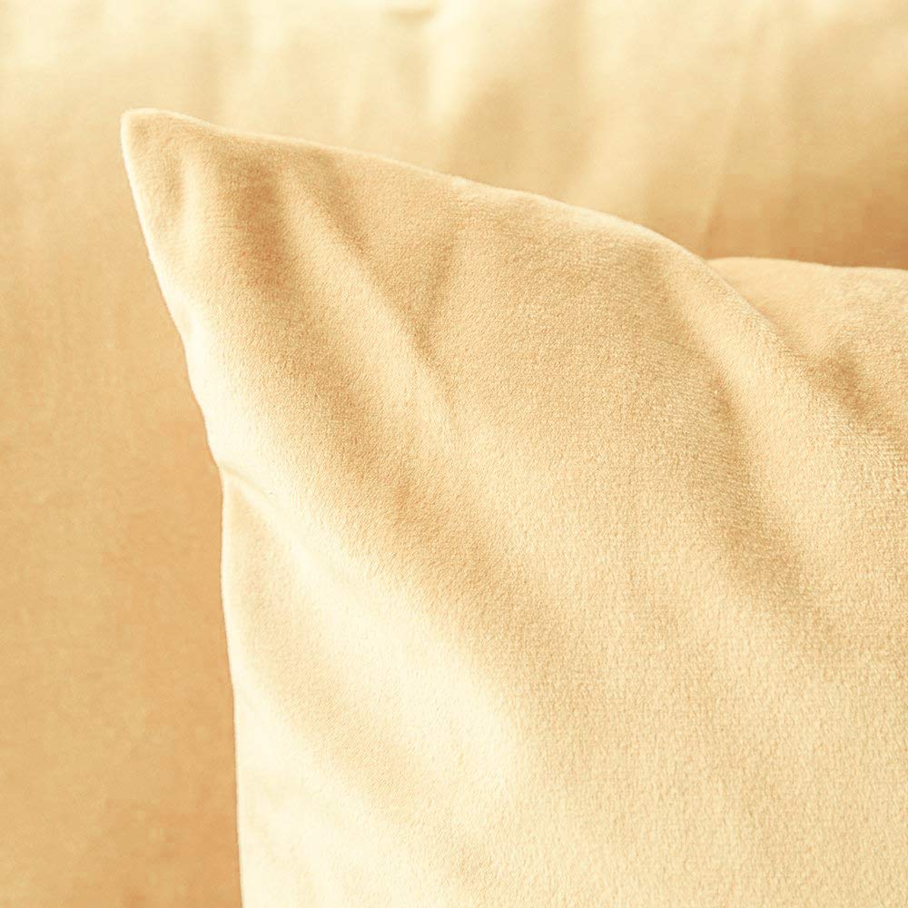 Khooti Velvet Cushion Cover | 16x16 Inch, Wheat - Pack of 2 | Solid Plain Soft & Smooth, Decorative Cushion Covers for Living Room, Bedroom, Couches, Chairs, Sofas, Beds & Home Decor