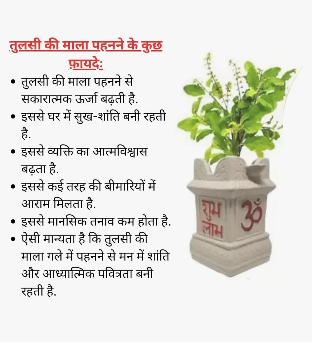 M -Vrindavan- Natura tulsi bracelet with certified Tulsi Hand Made Bracelet for Men and Women|| Bracelet for Wearing, Prayers and Gifting| Prayer | Yoga | Meditation bracelet -Pack of 2-Magic Bracelets ....