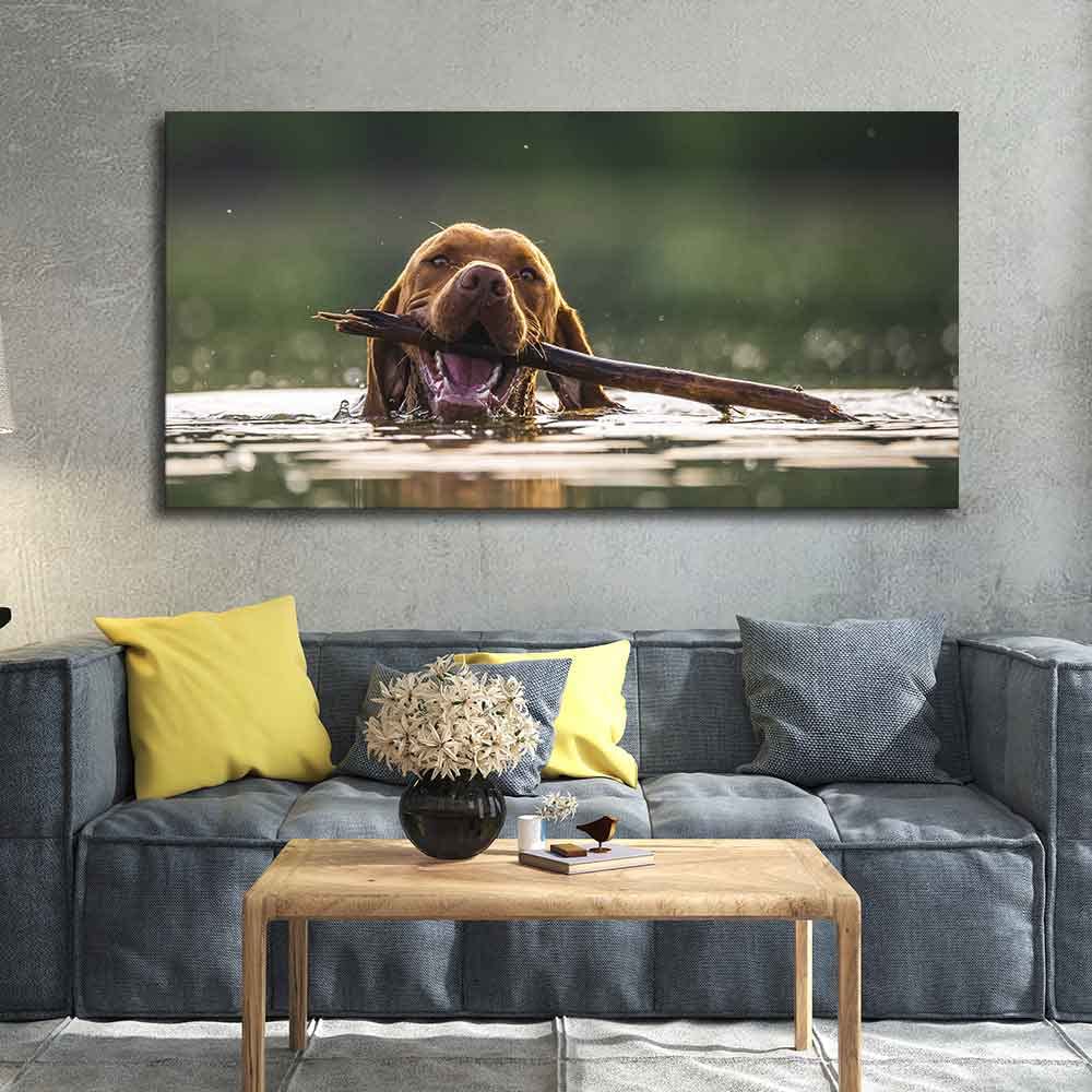VIBECRAFTS Canvas Paintings for Living Room Drawing Room Dog Swinmming Premium Wall Painting Fitted with Wooden Frame for Home | Office | Gift (PTVCH_2304)