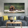 VIBECRAFTS Canvas Paintings for Living Room Drawing Room Dog Swinmming Premium Wall Painting Fitted with Wooden Frame for Home | Office | Gift (PTVCH_2304)