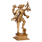 ARTVARKO Brass Lord Varaha Varahi Consort Bhudevi Third of The 10 incarnations (Avatars) of Lord Vishnu| Reincarnation of Lord Vishnu 17.5 Inches