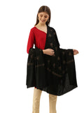 Pashmoda Women Nagma Pure Wool Aari Embroidered Shawl (Size : 101X203 CM)