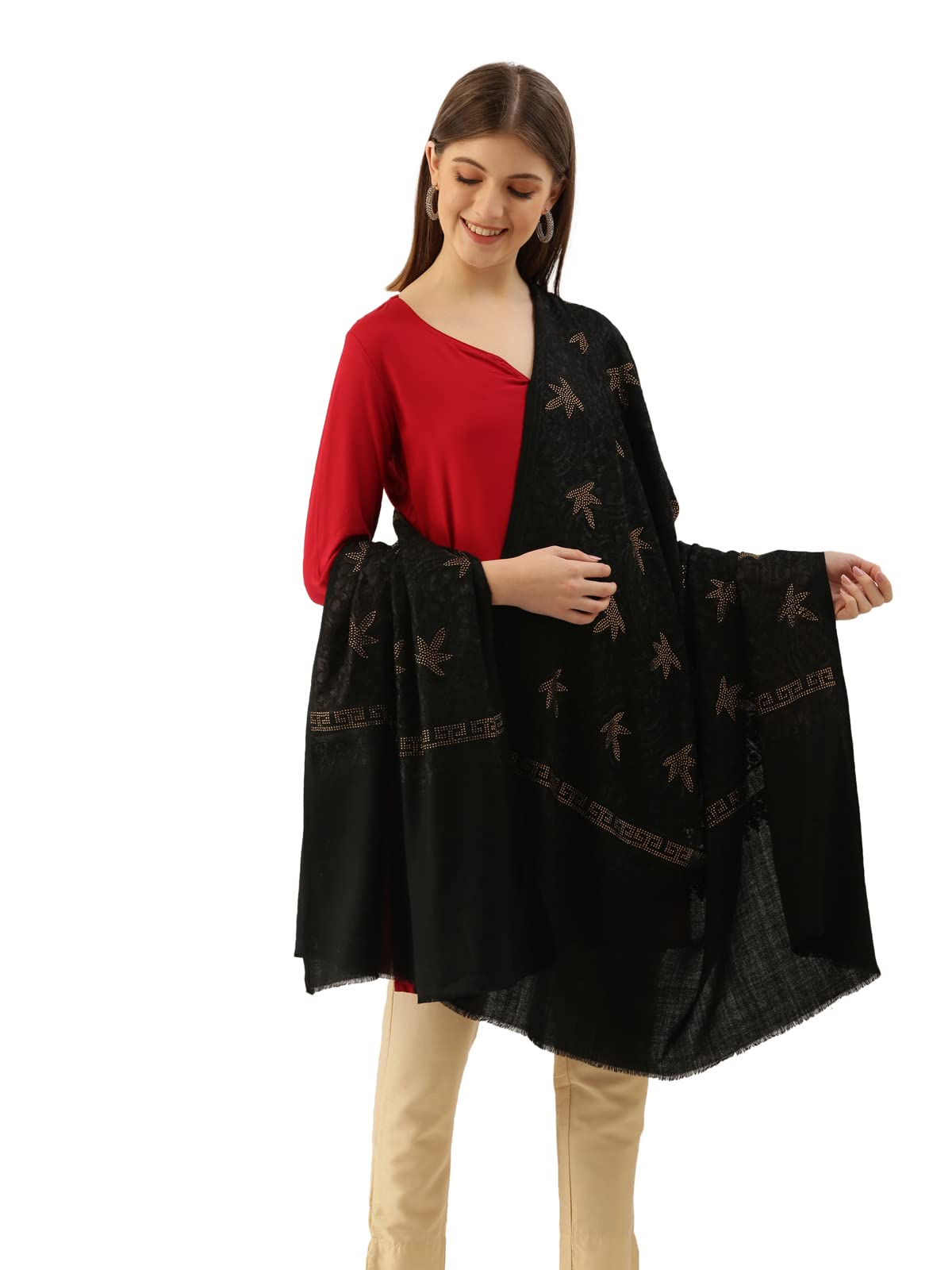Pashmoda Women Nagma Pure Wool Aari Embroidered Shawl (Size : 101X203 CM)