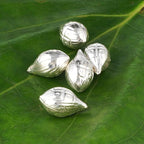 DHRUVS COLLECTION 925 Silver Nariyal - Coconut for Pooja, Decoration, Temple & Gifting Purposes - 5.5 Grams, Pack of 5