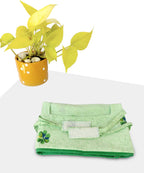 Switchon Pure Cotton Innovative scarf Hijab for Women with closer 3 inch Hook and Loop Tape for size adjustment for 12 yrs and above (Green)