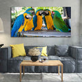 VIBECRAFTS Canvas Paintings for Living Room Drawing Room Colorful Mascaw Parrots Canvas Wall Painting Fitted With Wooden Frame for Home | Office | Gift (PTVCH_2311)