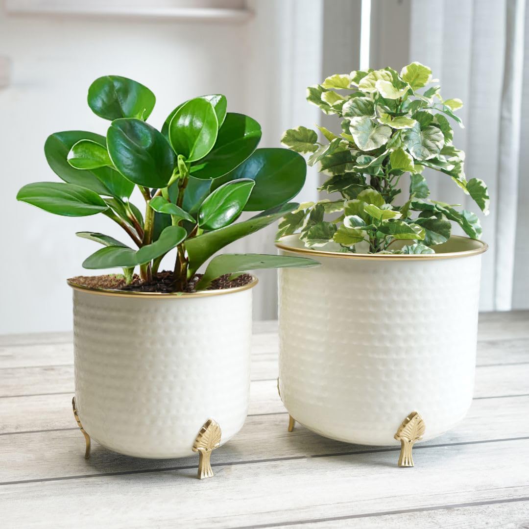 BEHOMA Metal Hammered Leaf Leg Planter Set, Golden - Set of 2