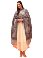 Pashmoda Women Kohsar Kashmiri Jamawar Woven Design Shawl (Size: 40x80in, 101x203cm) SECS53