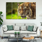 VIBECRAFTS Tiger Canvas Wall Painting Set of Five For Home|Office|Living Room|Gift (PTVC5Pcs4_8623)