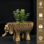 BEHOMA Metal Elephant for Good Luck, Golden - Set of 2