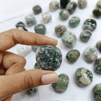 Tree Agate Tumble Stone 50 Gm | Natural Healing Crystal for Calm Energy, Emotional Stability & Growth | Polished Pebble Stones for Meditation, Spiritual Home Decor, Vastu & Gifting (2-4 Pcs)