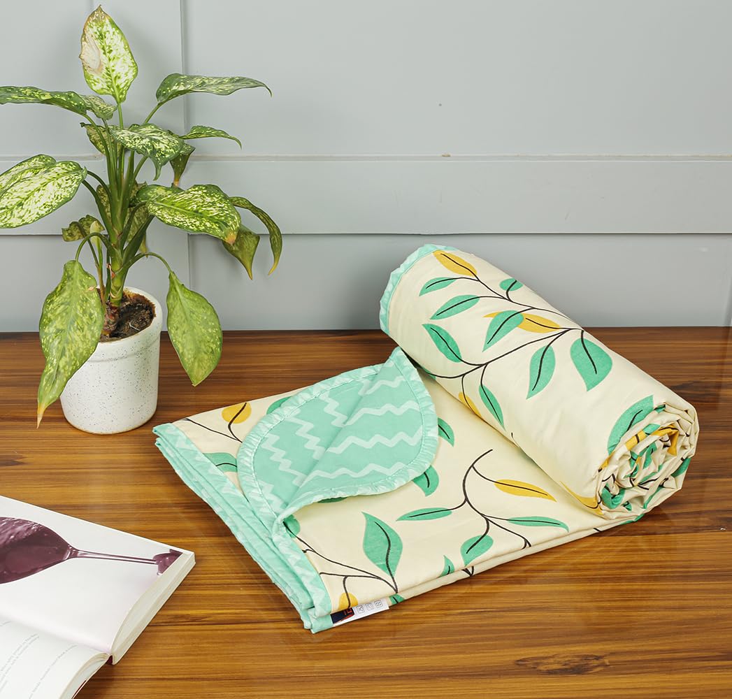 BSB HOME Cotton Super Soft Brushed Microfiber Cotton 2 Layer Breathable Double Bed Dohar Lightweight Summer | AC | All Season Blanket Dohar 84X96(Inches) 213X243(CM) Cotton Pista & Light Green Kafalo