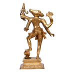 ARTVARKO Brass Lord Varaha Varahi Consort Bhudevi Third of The 10 incarnations (Avatars) of Lord Vishnu| Reincarnation of Lord Vishnu 17.5 Inches