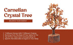 AMOKRI 500 Beads Red Carnelian Crystal Tree, Feng Shui Healing Crystal Bonsai for Positive Energy, Good Luck Decor, Vastu Items, Home Office Decoration, Housewarming, Shop Opening & Spiritual Gift