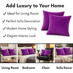 RD TREND® Cushion Cover Set of 2, Decorative Sofa Living Room Home Square Cushion Covers 24 Inch x 24 Inch, Aesthetic Corduroy Striped Double Sided (Dark Pink)