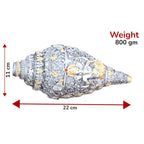 KridayKraft Lord Ganesha shankh Antique Decorative Conch Shell Figurine, 22x11 cm, 800 gm, for Wealth, Prosperity and Good Luck.