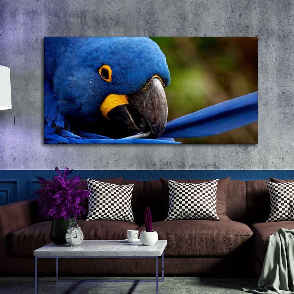 VIBECRAFTS Canvas Paintings for Living Room Drawing Room Blue Mascaw Parrot Premium Wall Painting Fitted with Wooden Frame for Home | Office | Gift (PTVCH_2313)