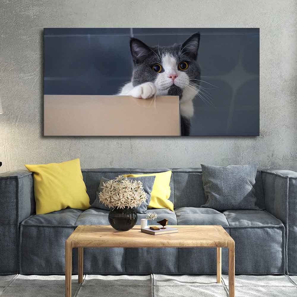 VIBECRAFTS Canvas Paintings for Living Room Drawing Room Beautiful Cat Peeping Over Ledge Wall Painting Fitted With Wooden Frame For Home | Office | Gift |(PTVCH_2306)