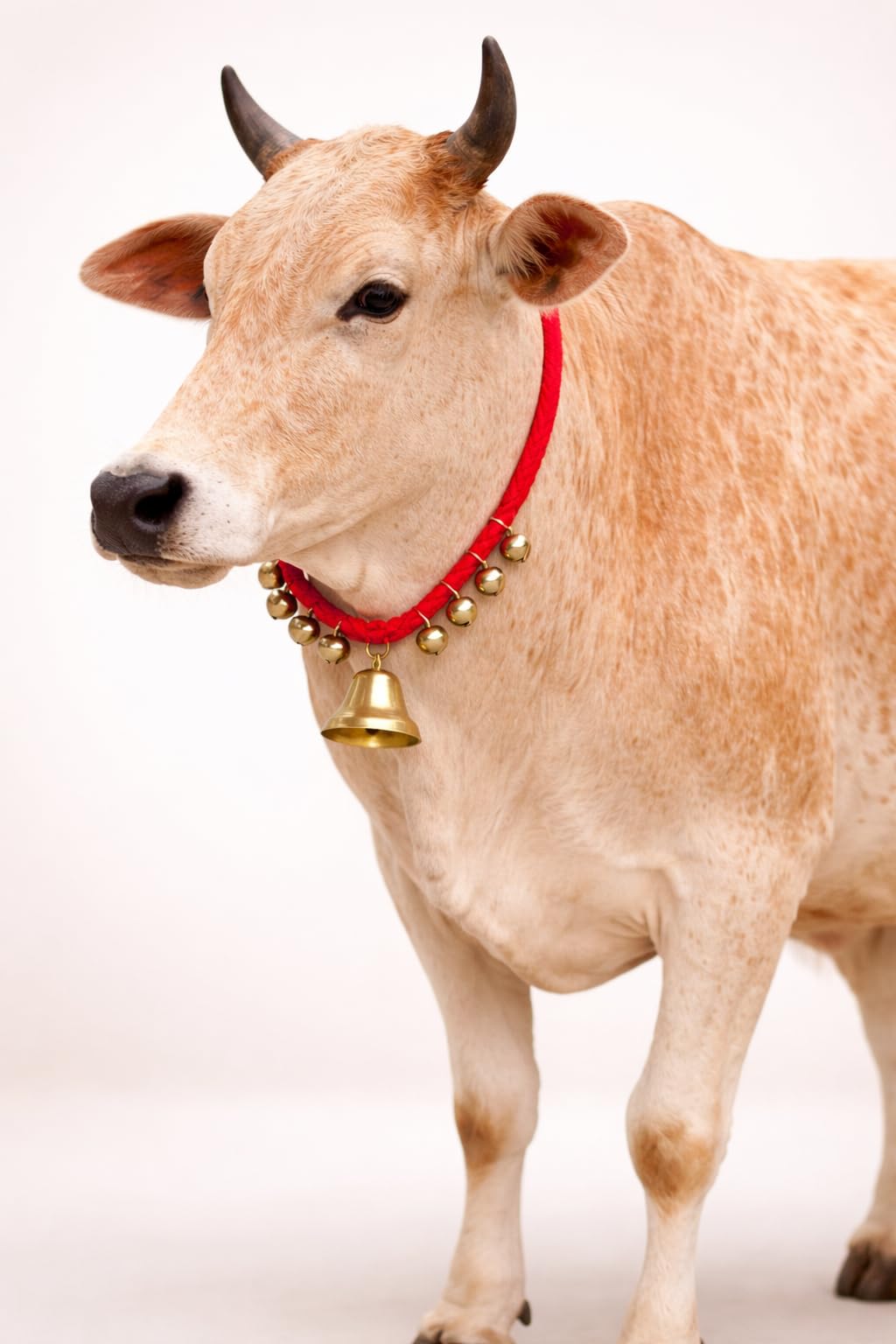 Handmade Brass Cow/Buffalo/Goat/Sheep Bell Necklace with Red String, Traditional Indian Golden Ghungroo Style Mala | Decorative & Functional Cow Accessories for Gaushalas & Festivals |Set of3