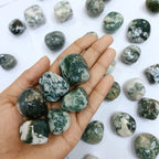 Tree Agate Tumble Stone 50 Gm | Natural Healing Crystal for Calm Energy, Emotional Stability & Growth | Polished Pebble Stones for Meditation, Spiritual Home Decor, Vastu & Gifting (2-4 Pcs)