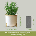 BEHOMA Metal Hammered White Planter with Golden Leaf Stand