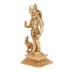 SVARUP Brass Lord Murugan Kartikeya Kumaraswamy Karthikeya with Peacock Idol Swaminatha Murti 7 Inch