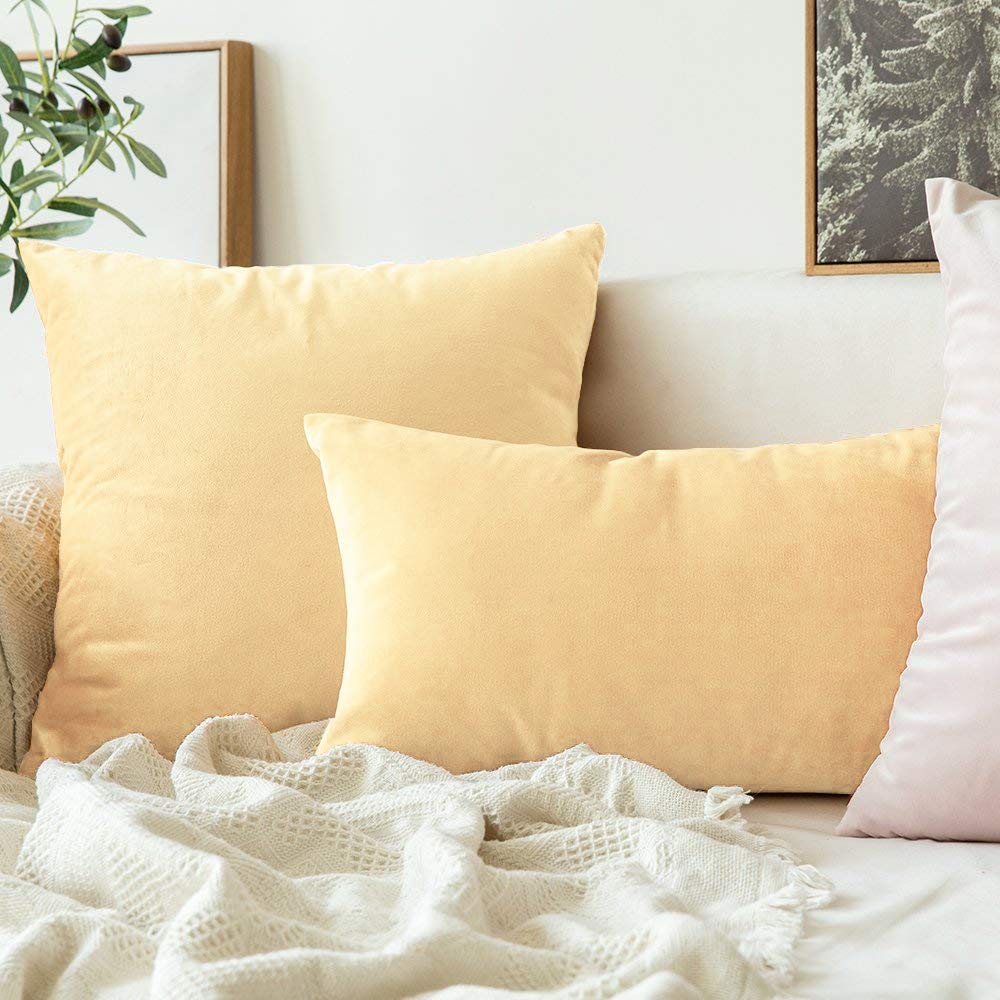 Khooti Velvet Fabric Cushion Cover | Wheat, 20 x 20 Inches | Pack of 1 | Solid Plain Soft & Smooth, Decorative Cushion Covers for Living Room, Bedroom, Couches, Chairs, Sofas, Beds & Home Décor