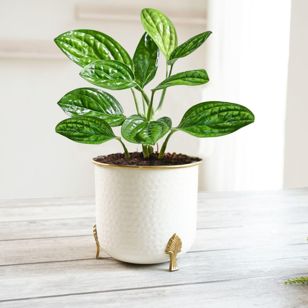 BEHOMA Metal Hammered White Planter with Golden, 6 inch (Plant not Included