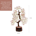 Crystu Certified Rose Quartz Tree, Spiritual Energy & Love, Healing Crystal Tree for Office, Home & Living Room, Unique Gift for Valentine, Housewarming & More