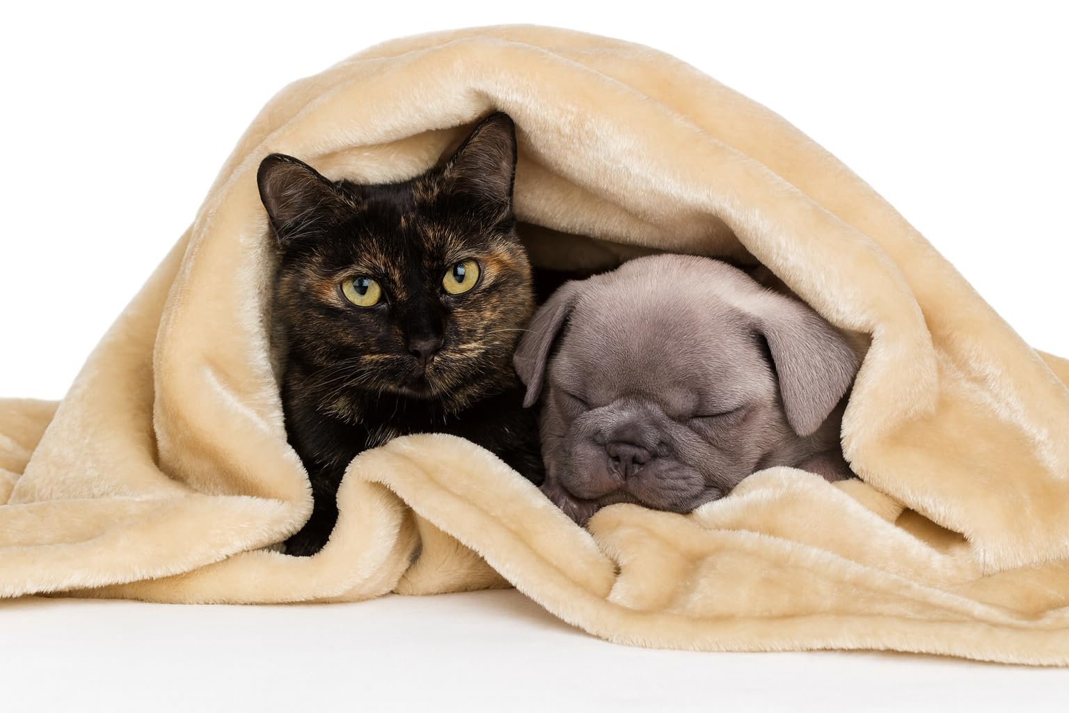 THE HOME TALK Pet Blanket – Reversible Fur Bed Blanket for Dogs & Cats, Machine Washable, Soft & Warm Blanket, Beige Color, 45x55 Inch Kafalo