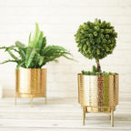 BEHOMA Hammered Gold Metal Indoor Planters Set - Set of 2