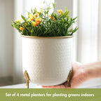 BEHOMA Metal Hammered White Planter with Golden Leaf Stand