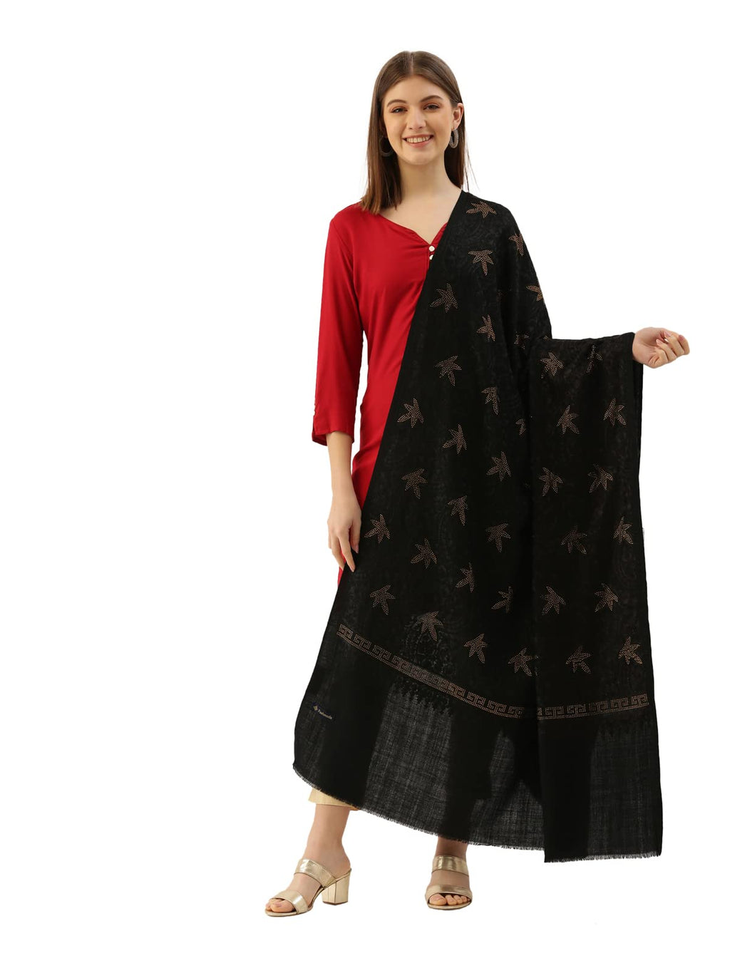 Pashmoda Women Nagma Pure Wool Aari Embroidered Shawl (Size : 101X203 CM)