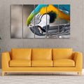 VIBECRAFTS Macaw Parrot 5 Pieces Canvas Wall Painting For Home | Office | Living Room | Gift (PTVC5Pcs4_8549)