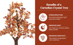 AMOKRI 500 Beads Red Carnelian Crystal Tree, Feng Shui Healing Crystal Bonsai for Positive Energy, Good Luck Decor, Vastu Items, Home Office Decoration, Housewarming, Shop Opening & Spiritual Gift