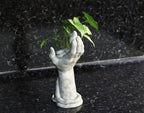 Beoals Decorative Hand with Snake Sculpture, White Marble Effect, Desktop Ornament for Living Room