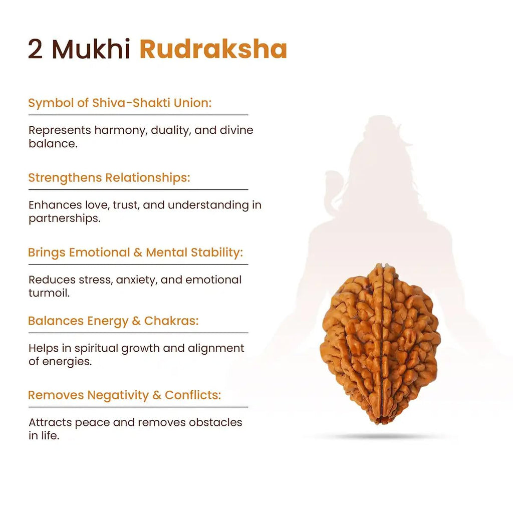 LIFE CHANGING ASTRO Dhan Yog Combo Set | Rudraksha & Crystal Bracelets for Wealth, Prosperity & Positive Energy | by Acharya Lavbhushan Ji (Shiv–Shakti Dhan Yog Combo)