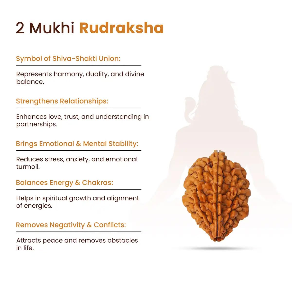 LIFE CHANGING ASTRO Dhan Yog Combo Set | Rudraksha & Crystal Bracelets for Wealth, Prosperity & Positive Energy | by Acharya Lavbhushan Ji (Shiv–Shakti Dhan Yog Combo)