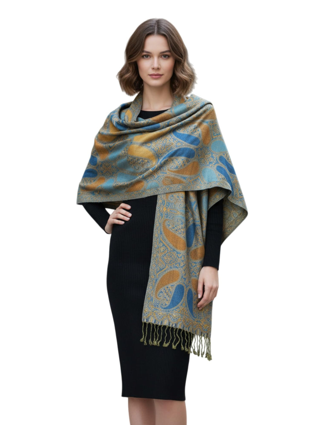 Paskmlna Paisley Pattern Tow Layered Woven Pashmina Shawl Scarf Wrap Stole (A18-018)