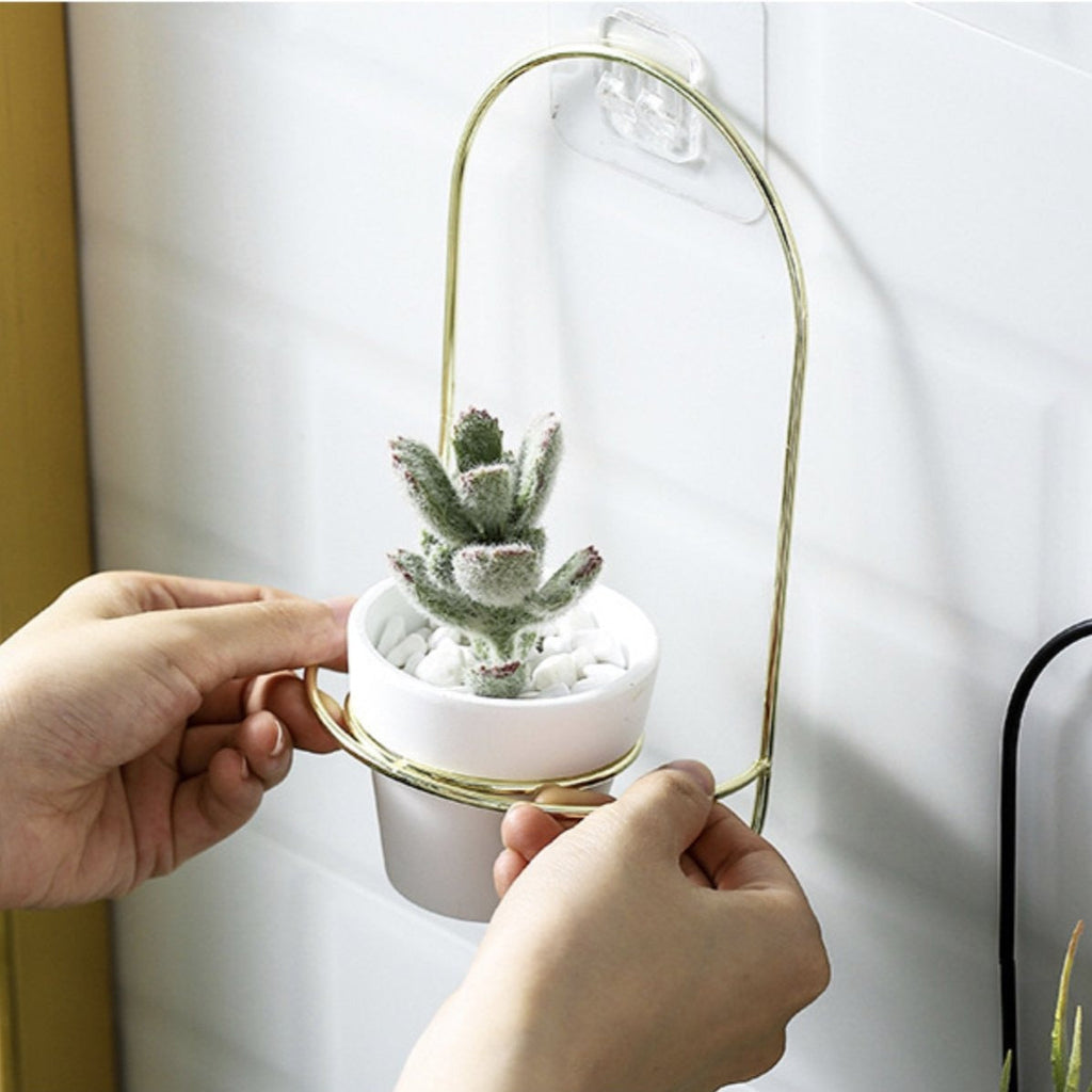Hanging Planter White Nestasia