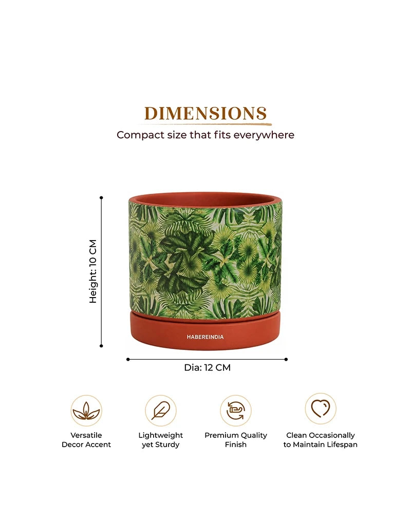 Handcrafted Flower Pot for Garden and Indoor Corners