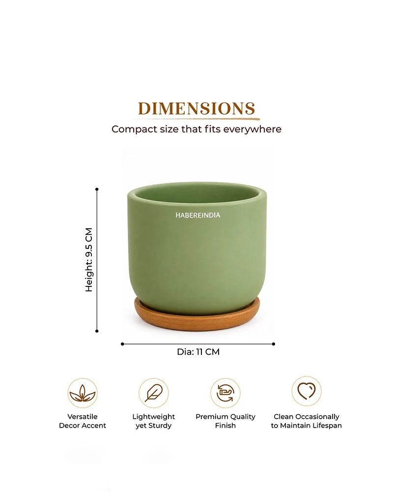 Small Terracotta Pot for Living Room Decoration