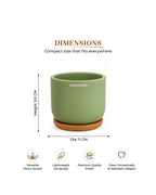 Small Terracotta Pot for Living Room Decoration