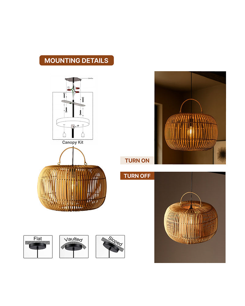 Contemporary Ceiling Hanging Light for Living Room Decor