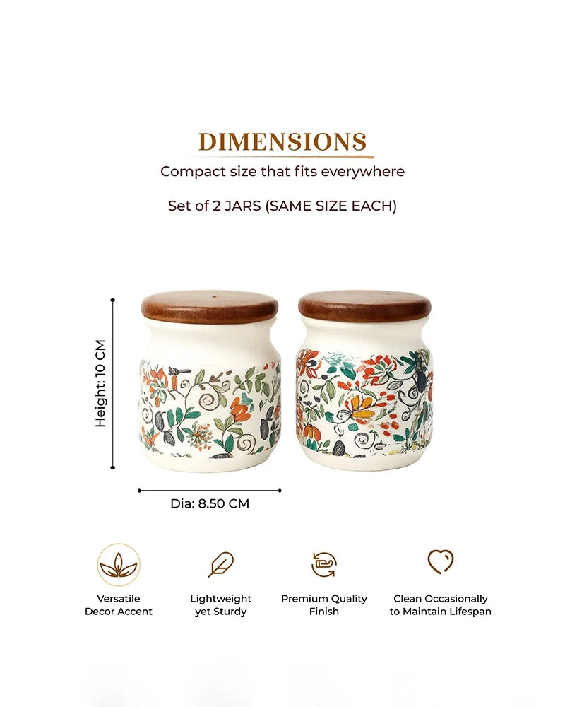 Ceramic Jar for Kitchen Storage with Lid, Set of 2