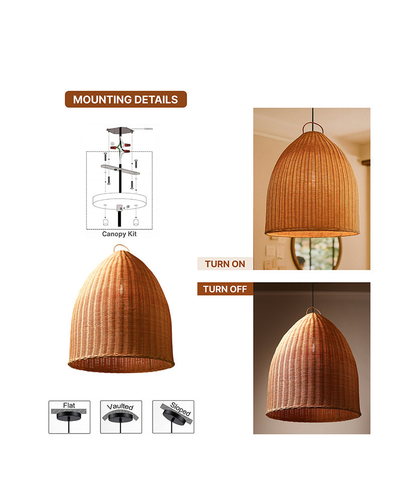 Ceiling Hanging Light for Living Room and Stylish Home Decor