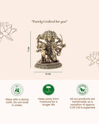 Panchmukhi Hanuman Brass Idol Figurine for Devotion and Daily Worship