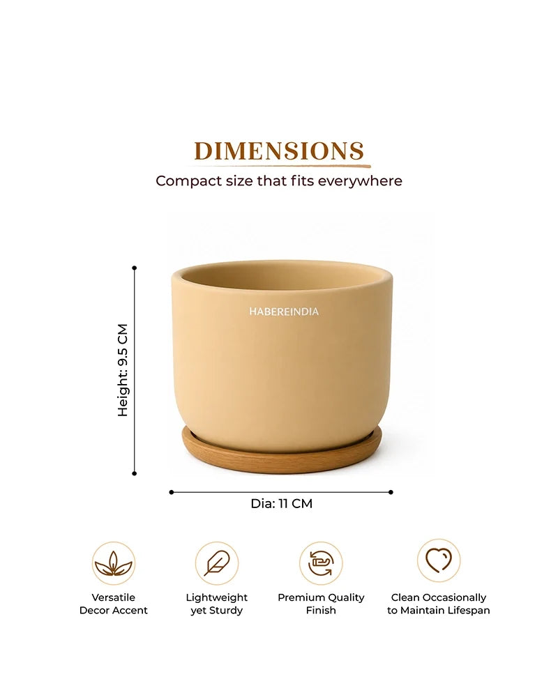 Compact Flower Pot for Living Room Shelf Decor